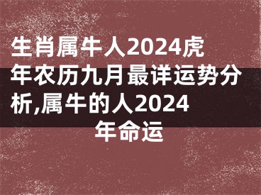生肖属牛人2024虎年农历九月最详运势分析,属牛的人2024年命运