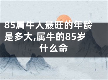 85属牛人最旺的年龄是多大,属牛的85岁什么命