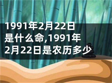 1991年2月22日是什么命,1991年2月22日是农历多少