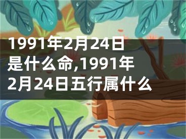 1991年2月24日是什么命,1991年2月24日五行属什么