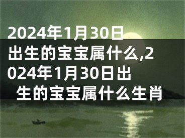 2024年1月30日出生的宝宝属什么,2024年1月30日出生的宝宝属什么生肖