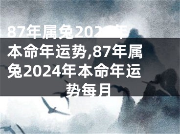 87年属兔2024年本命年运势,87年属兔2024年本命年运势每月