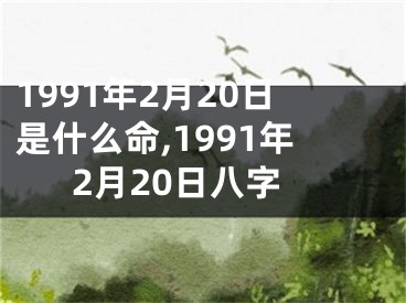 1991年2月20日是什么命,1991年2月20日八字