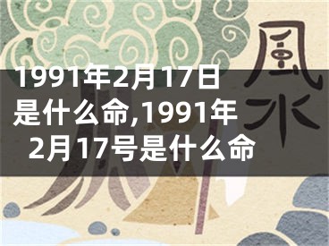 1991年2月17日是什么命,1991年2月17号是什么命