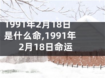 1991年2月18日是什么命,1991年2月18日命运