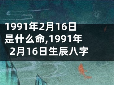1991年2月16日是什么命,1991年2月16日生辰八字