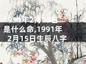 1991年2月15日是什么命,1991年2月15日生辰八字