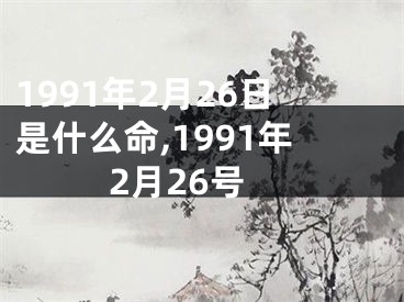 1991年2月26日是什么命,1991年2月26号