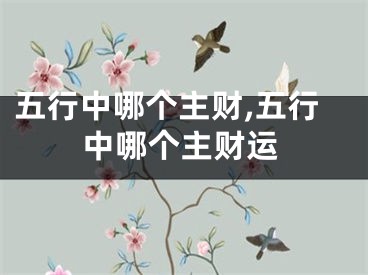 五行中哪个主财,五行中哪个主财运