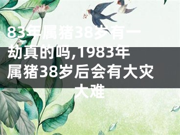 83年属猪38岁有一劫真的吗,1983年属猪38岁后会有大灾大难