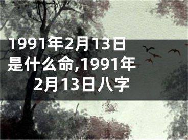 1991年2月13日是什么命,1991年2月13日八字