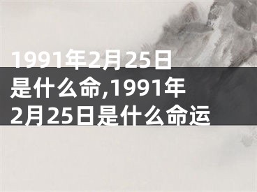 1991年2月25日是什么命,1991年2月25日是什么命运