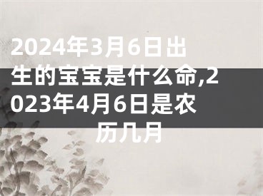 2024年3月6日出生的宝宝是什么命,2023年4月6日是农历几月