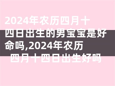 2024年农历四月十四日出生的男宝宝是好命吗,2024年农历四月十四日出生好吗
