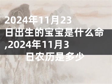 2024年11月23日出生的宝宝是什么命,2024年11月3日农历是多少