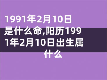 1991年2月10日是什么命,阳历1991年2月10日出生属什么