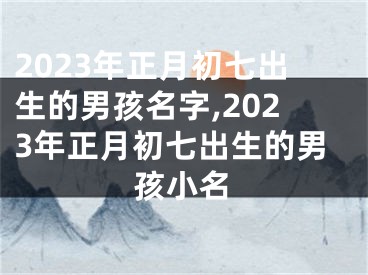 2023年正月初七出生的男孩名字,2023年正月初七出生的男孩小名