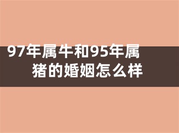 97年属牛和95年属猪的婚姻怎么样