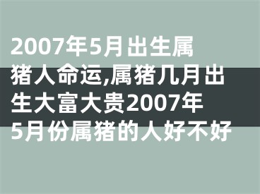 2007年5月出生属猪人命运,属猪几月出生大富大贵2007年5月份属猪的人好不好