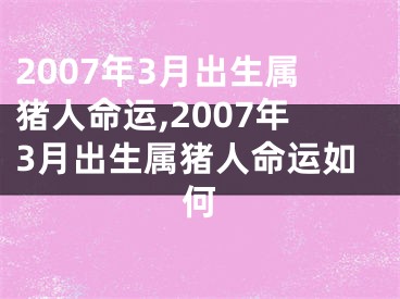 2007年3月出生属猪人命运,2007年3月出生属猪人命运如何