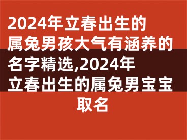 2024年立春出生的属兔男孩大气有涵养的名字精选,2024年立春出生的属兔男宝宝取名