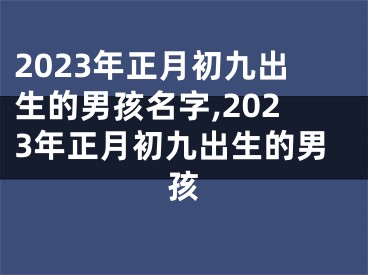 2023年正月初九出生的男孩名字,2023年正月初九出生的男孩