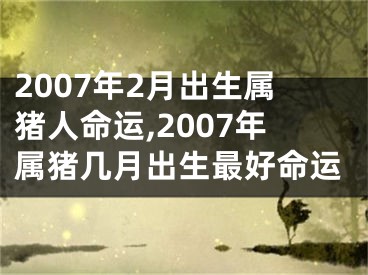 2007年2月出生属猪人命运,2007年属猪几月出生最好命运