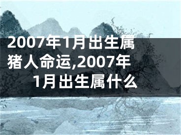 2007年1月出生属猪人命运,2007年1月出生属什么