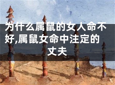 为什么属鼠的女人命不好,属鼠女命中注定的丈夫