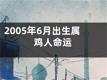 2005年6月出生属鸡人命运