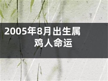 2005年8月出生属鸡人命运