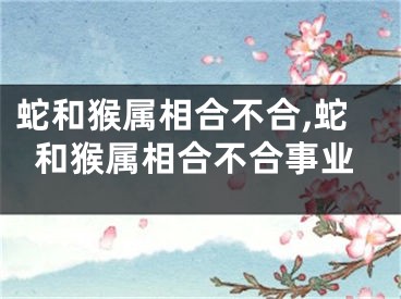 蛇和猴属相合不合,蛇和猴属相合不合事业