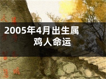 2005年4月出生属鸡人命运