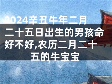 2024辛丑牛年二月二十五日出生的男孩命好不好,农历二月二十五的牛宝宝