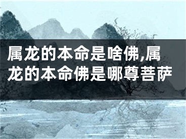 属龙的本命是啥佛,属龙的本命佛是哪尊菩萨