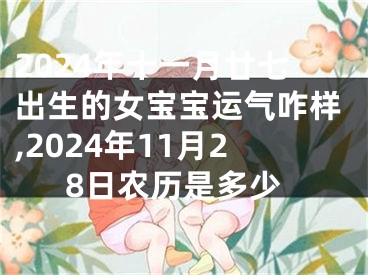2024年十一月廿七出生的女宝宝运气咋样,2024年11月28日农历是多少