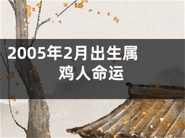 2005年2月出生属鸡人命运