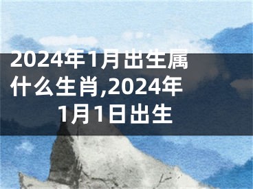 2024年1月出生属什么生肖,2024年1月1日出生