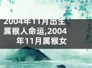 2004年11月出生属猴人命运,2004年11月属猴女