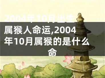 2004年10月出生属猴人命运,2004年10月属猴的是什么命