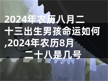 2024年农历八月二十三出生男孩命运如何,2024年农历8月二十八是几号