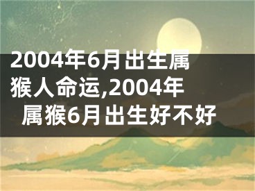 2004年6月出生属猴人命运,2004年属猴6月出生好不好