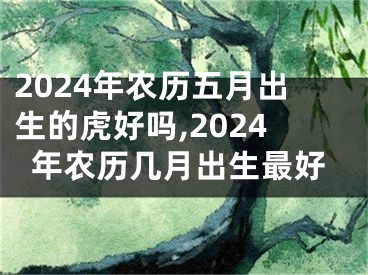2024年农历五月出生的虎好吗,2024年农历几月出生最好