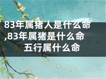 83年属猪人是什么命,83年属猪是什么命五行属什么命