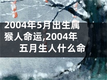 2004年5月出生属猴人命运,2004年五月生人什么命