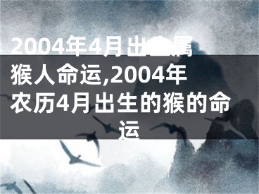 2004年4月出生属猴人命运,2004年农历4月出生的猴的命运