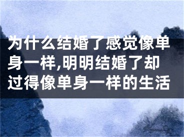 为什么结婚了感觉像单身一样,明明结婚了却过得像单身一样的生活