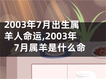 2003年7月出生属羊人命运,2003年7月属羊是什么命
