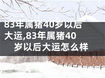 83年属猪40岁以后大运,83年属猪40岁以后大运怎么样