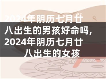 2024年阴历七月廿八出生的男孩好命吗,2024年阴历七月廿八出生的女孩